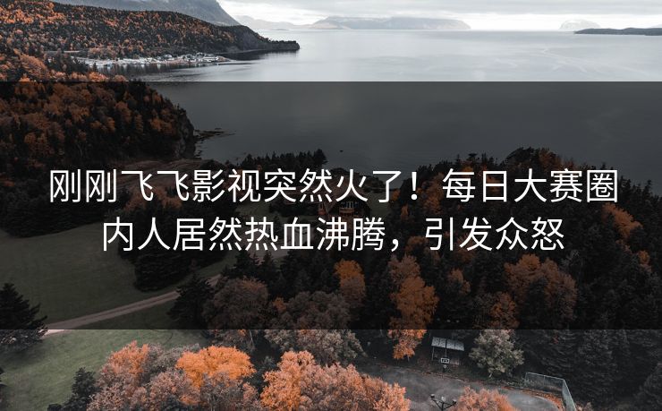 刚刚飞飞影视突然火了！每日大赛圈内人居然热血沸腾，引发众怒